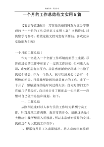 一个月的工作总结范文实用5篇