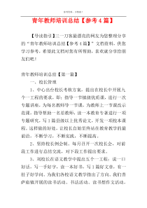 青年教师培训总结【参考4篇】