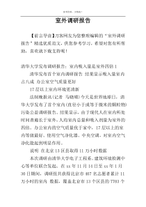 室外调研报告