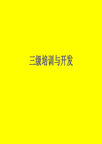 培训与开发三级