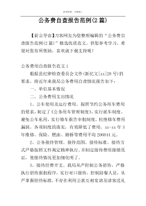 公务费自查报告范例(2篇)