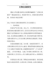 文物自查报告