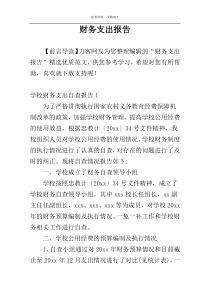 财务支出报告