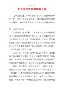 护士实习生总结精编3篇
