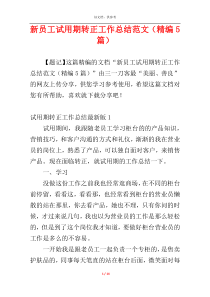 新员工试用期转正工作总结范文（精编5篇）