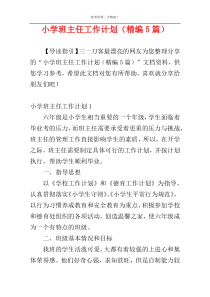 小学班主任工作计划（精编5篇）