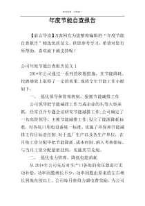 年度节能自查报告
