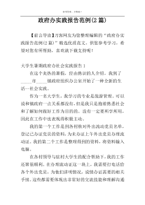 政府办实践报告范例(2篇)