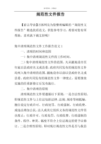 规范性文件报告