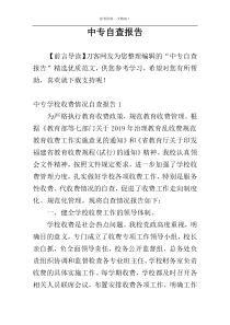 中专自查报告