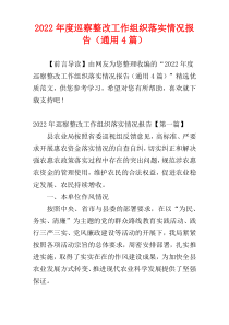 巡察整改工作组织落实情况报告2022年度（通用4篇）