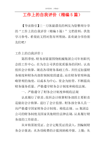 工作上的自我评价（精编5篇）