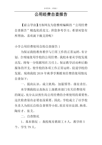 公用经费自查报告