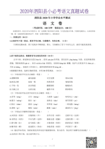 2020年泗阳县小必考语文真题试卷