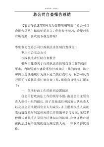总公司自查报告总结