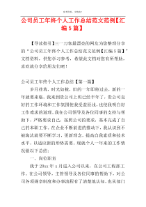 公司员工年终个人工作总结范文范例【汇编5篇】