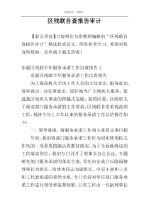区残联自查报告审计
