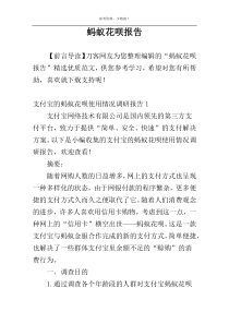 蚂蚁花呗报告