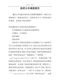 政府公共调查报告