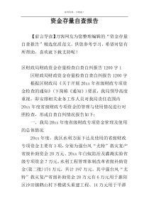 资金存量自查报告