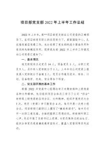 项目部党支部2022年上半年工作总结