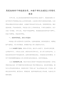 局党组做好干部选拔任用加强干部队伍建设工作情况报告