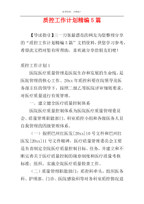 质控工作计划精编5篇