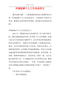 环境监察个人工作总结范文