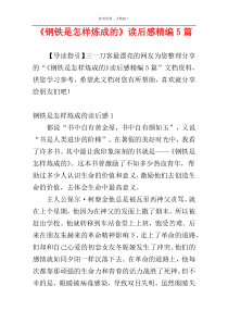 《钢铁是怎样炼成的》读后感精编5篇