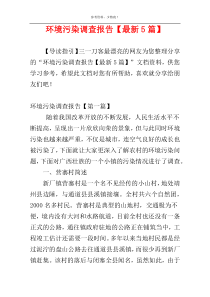 环境污染调查报告【最新5篇】