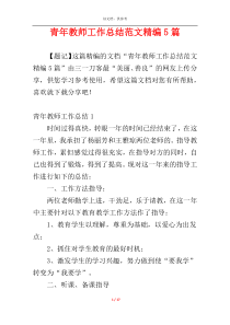 青年教师工作总结范文精编5篇