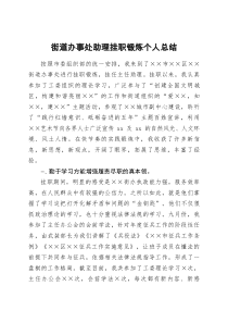 街道办事处助理挂职锻炼个人总结