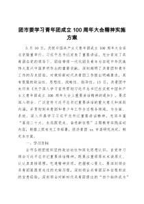 团市委学习青年团成立100周年大会精神实施方案