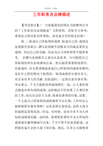 工作职责及业绩描述