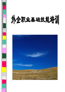 基础职业技能培训