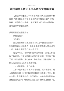 试用期员工转正工作总结范文精编3篇