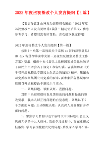 2022年度巡视整改个人发言提纲【4篇】