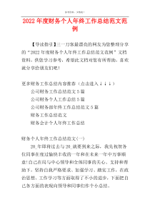 2022年度财务个人年终工作总结范文范例