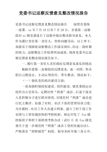 党委书记巡察反馈意见整改情况报告