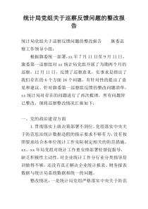 统计局党组关于巡察反馈问题的整改报告