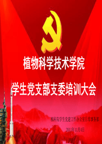 大学生党支部支部委员培训