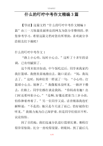 什么的叮咛中考作文精编3篇