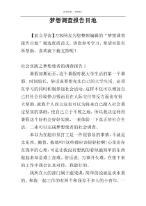梦想调查报告目地