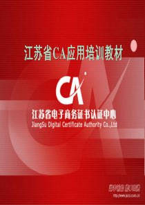 太仓市国税CA应用培训教材ppt-PowerPoint