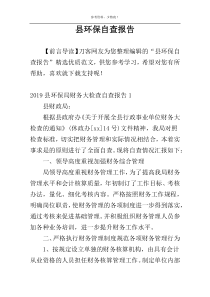 县环保自查报告