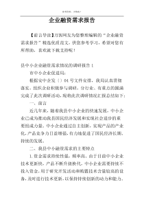 企业融资需求报告