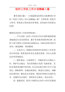 驻村工作队工作计划精编3篇