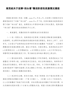 局党组关于巡察回头看整改阶段性进展情况通报