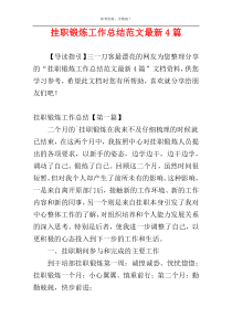 挂职锻炼工作总结范文最新4篇
