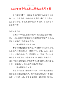 2022年度导师工作总结范文实用5篇